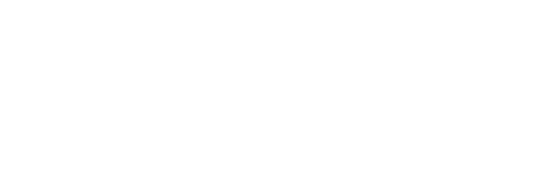 vapic GmbH Logo