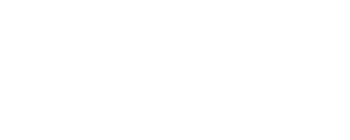 HSM Logo